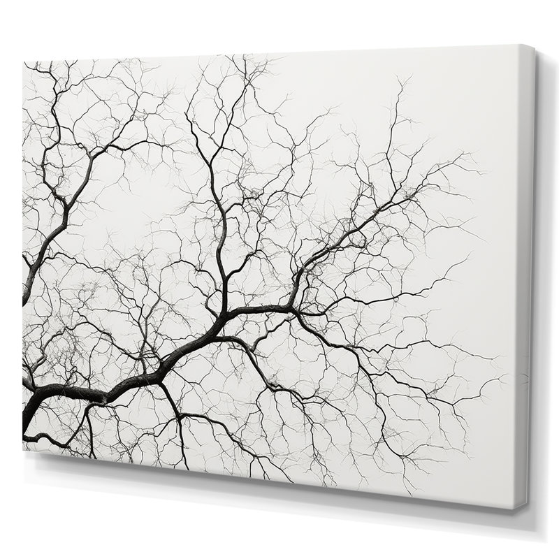 «Monocrhome Sycamore Tree Solitude», reproduction sur toile, Toile tendue, H 12 po x l 20 po x P 1 po