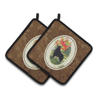 Caroline's Treasures Schipperke Polyester Potholder Set