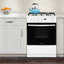 Cuisinière à gaz autoportante 24 pi 1,9 pi Frigidaire Series-48425015