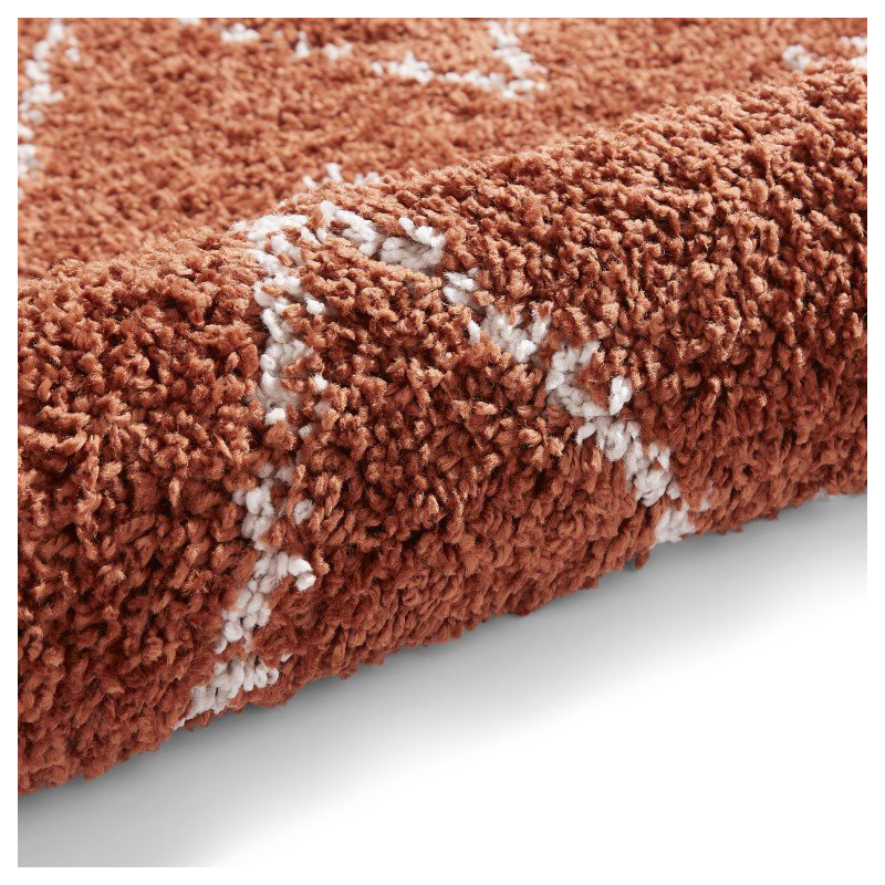 Archuleta area rug Machine Woven Rust, Rectangle 120 x 170cm