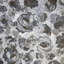 Julie Feels Home Collection Glitter/Shimmer Large Paeonia Flowers Wallpaper Roll-436909928
