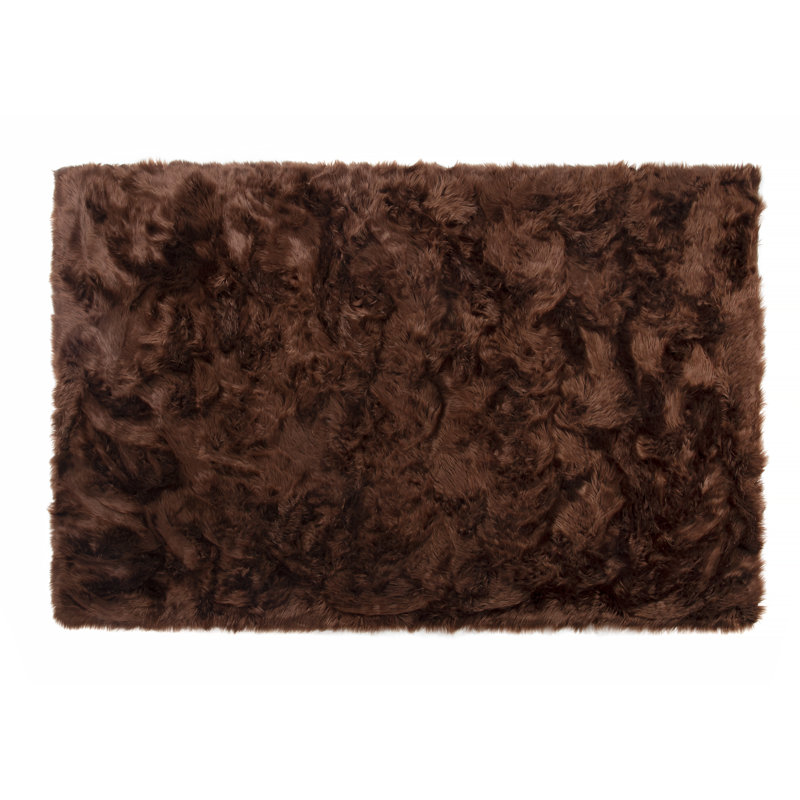 Tapis brun, Rectangle 8 pi x 10 pi