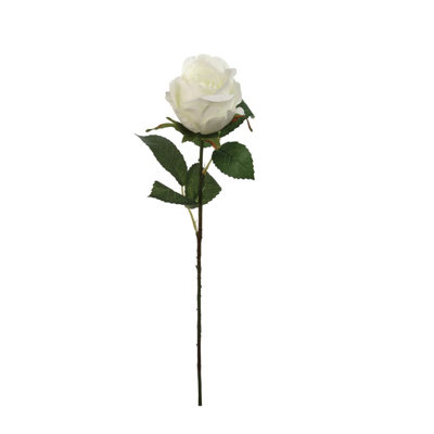Tige rose 20 po - paquet de 12