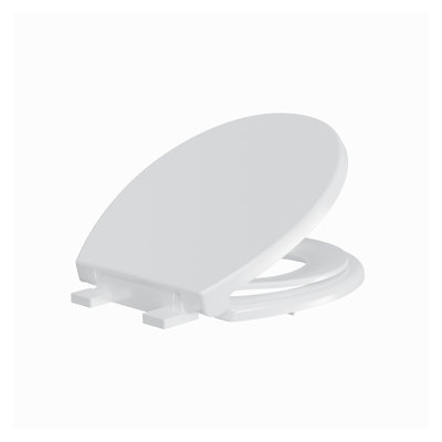 Toilet Seat