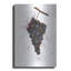 «Wine Splash Grapes Mauve» par Wellington Studio, art mural en métal, 24 po x 36 po-543215515