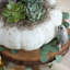 Harvest Cake Stand