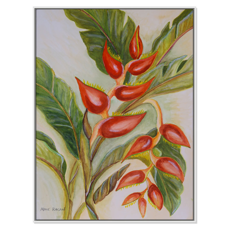Imprimé Heliconia par Mike Ragan pour , H 49,5 po x l 37,5 po, Blanc