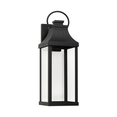 Parker 1-Light Outdoor Wall Lantern with Clear Glass