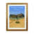 Brown Framed