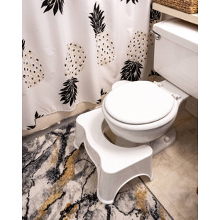 Raised Toilet Seat