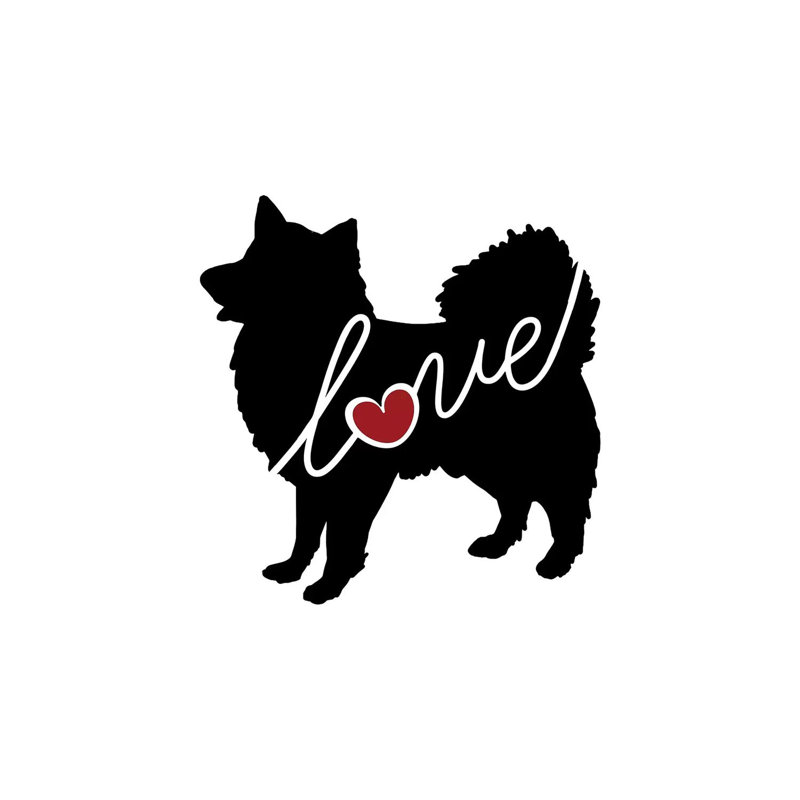 American Eskimo by Traci Anderson - Wrapped Canvas Gallery-Wrapped Canvas Giclée, 20.32 cm H x 30.48 cm W