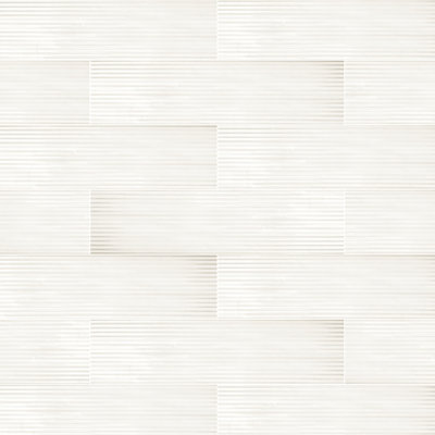 Reef 3X12 Porcelain Wall Tile