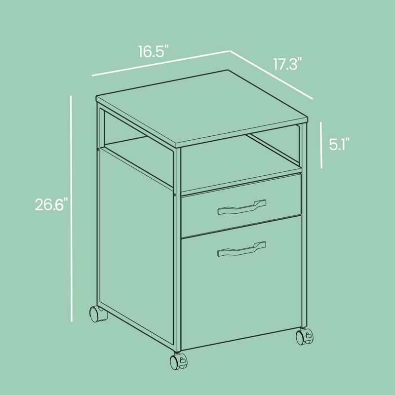 Turgeon 16.5'' Wide 2 -Drawer Mobile File Cabinet, Brown/Black