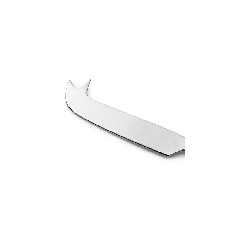 Paloma Stainless Steel Cheese Knife