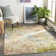 Rinker Abstract Indoor Rug