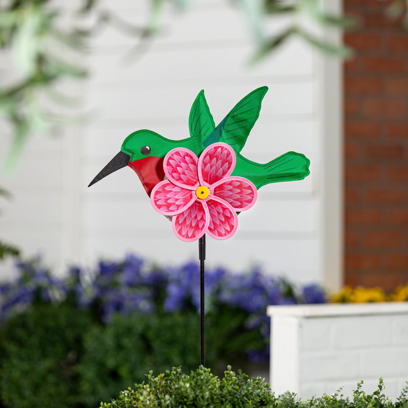 Rouleau de colibri et marguerite