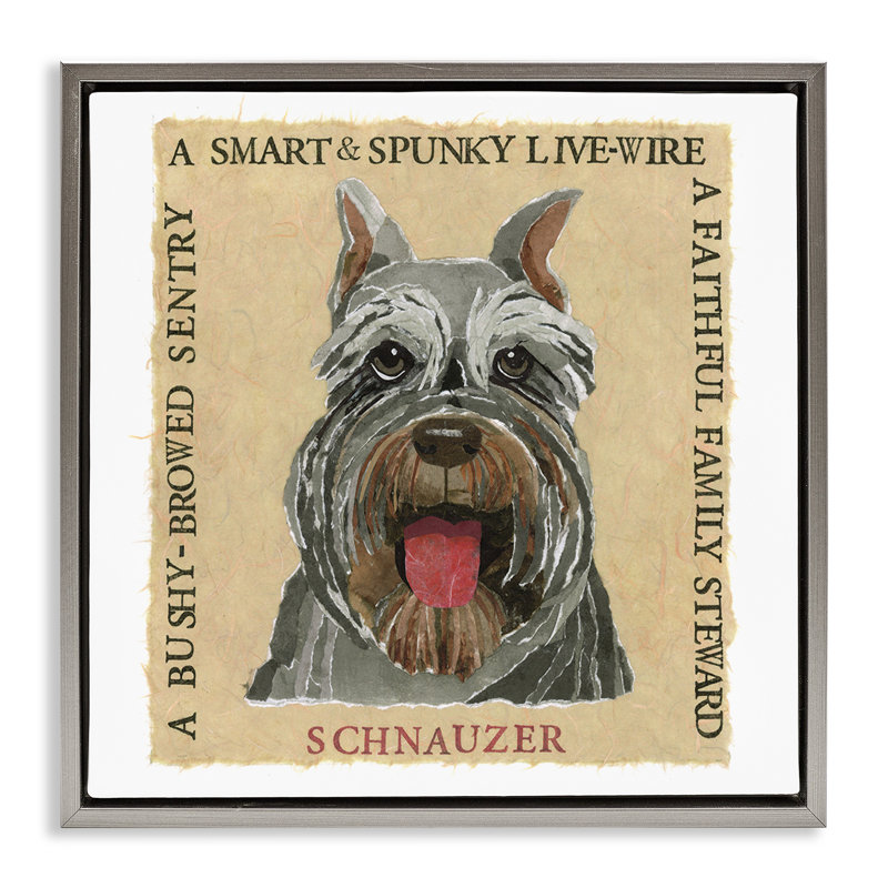 "Fun Schnauzer Pet", art mural encadré flottant par Nancy Overton, Cadre flottant gris lustré, H 25 po x l 25 po