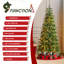 Sapin de Noël vert Aldred-1684586859