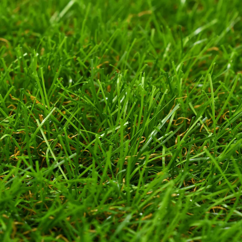 Faux Grass in Freestanding, 3cm H x 100cm W x 500cm D