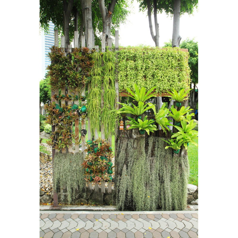 Vertical Garden by Drpnncpp - Wrapped Canvas Print, 46cm H x 30cm W