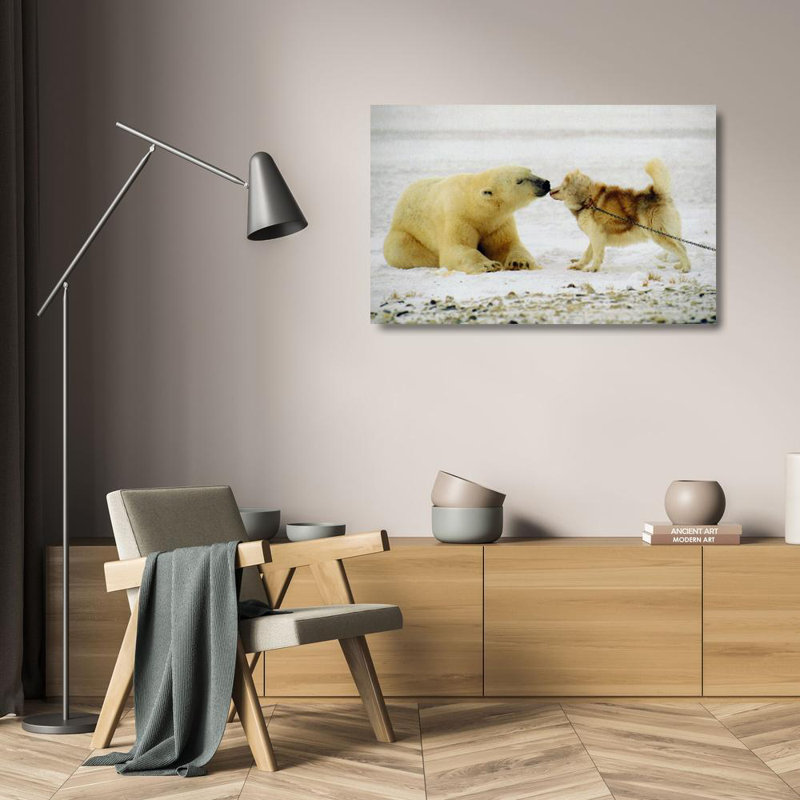 Baiser polaire IMA-M850, H 15 po x l 24 po
