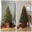 Arbre surélevé en bois 24 po H-119318890