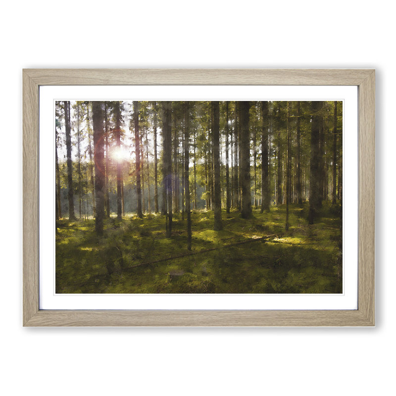 Sunlight Forest Vol.2 - Picture Frame Painting, 36cm H x 48cm W x 2cm D, Oak Framed