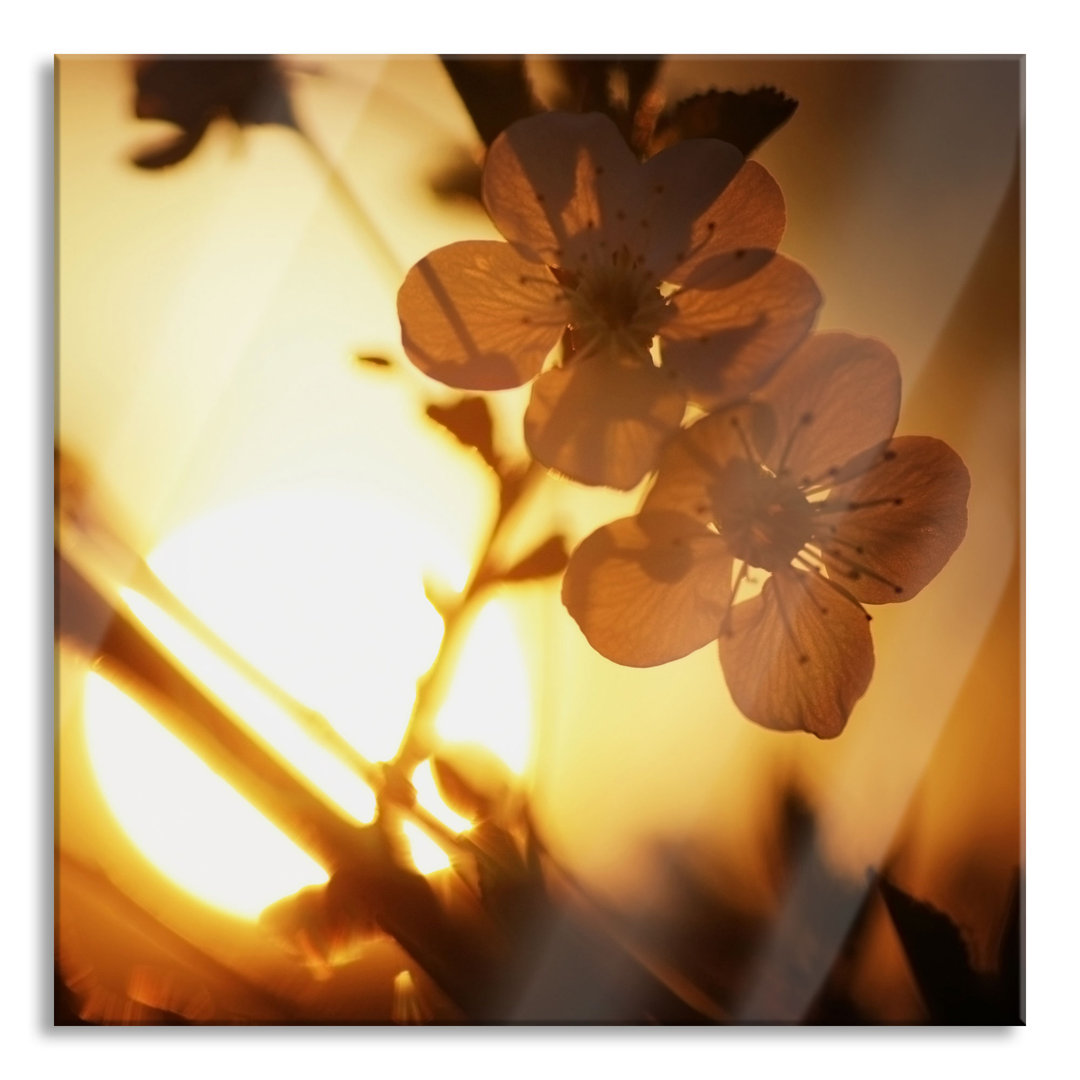 Glasbild Blumen am Baum