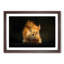 Red Squirrel - Framed Print-55598278-55598282