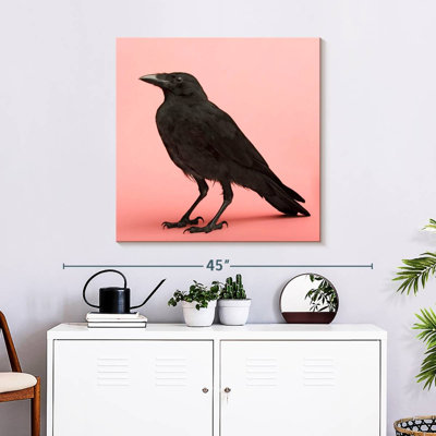 Crowle Black Carrion Crow