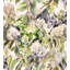 Hydrangea Garden-1286528921