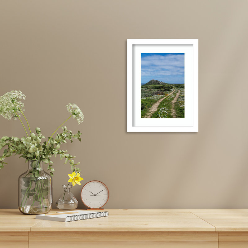Impression sur toile encadrée «Daisy Path» par Shot par Clint Wood, H 13 po x l 10 po, Cadre blanc