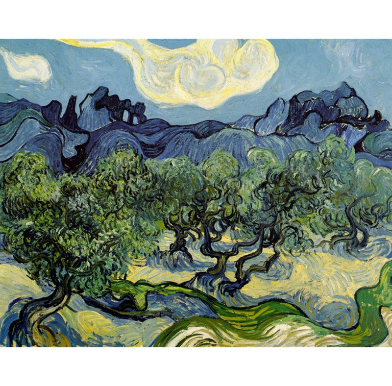 Les oliviers, 1889, H 19 po x l 24 po