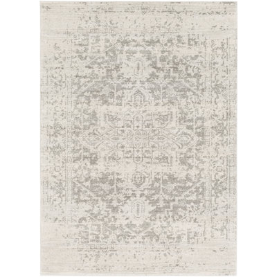 Oriental Indoor Rug