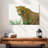 Brampt Wild Leopard-107685048