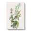 Green Black-Capt Flycatcher Bird by John Audubon - Wrapped Canvas Painting-55360542