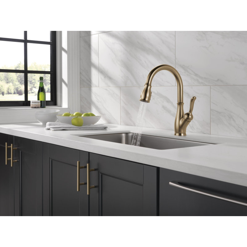 Robinet d'évier de cuisine avec douchette extractible Leland, Bronze champagne