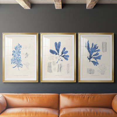 Blue Marine Algae VI  -Custom Framed  Premium Print W Matt - 3 Pieces