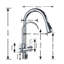 Belfry Kitchen Wilburg Pull Out Kitchen Faucet