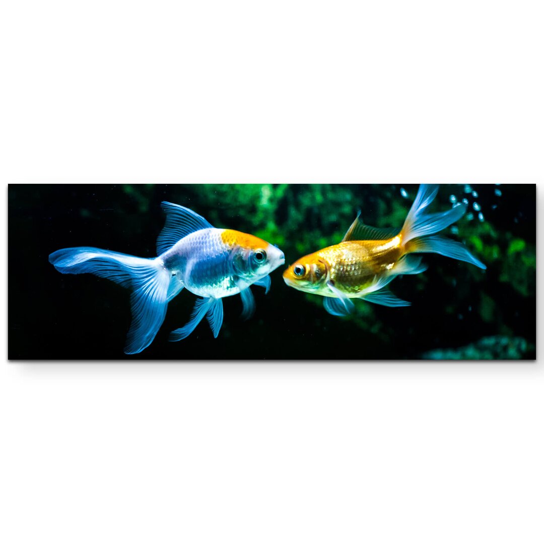 Leinwandbild Goldfische im Aquarium