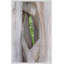 Natural Texture Series 6' Framed Photographic Print on Glass