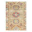 Oriental Area Rug
