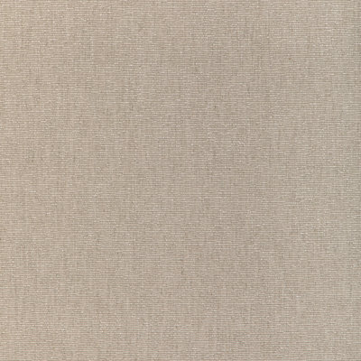 Carnot Plain