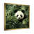 Gold Single Picture Framed