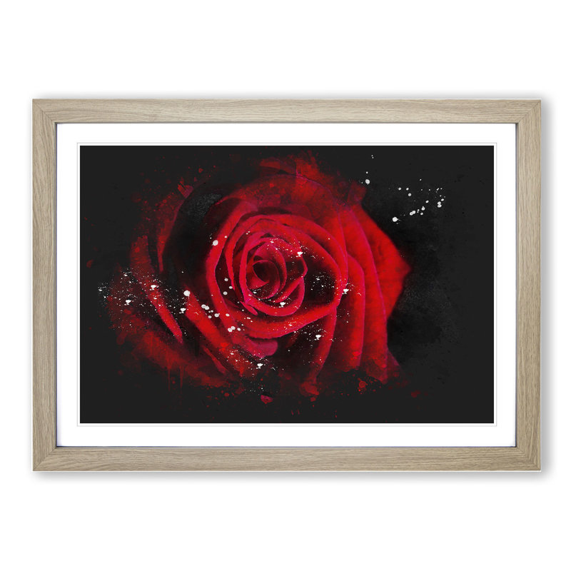 Red Rose Flower Vol.6 - Picture Frame Painting, 65cm H x 90cm W x 2cm D, Oak Framed