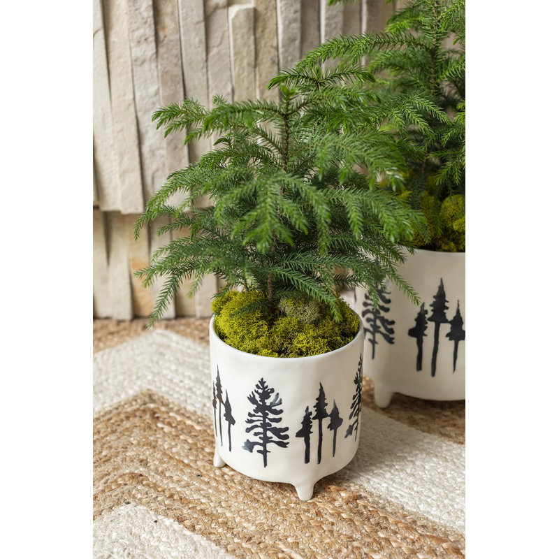 Aaronjit Ceramic Pot Planter, 5.5" H x 5.25" W x 5.25" D