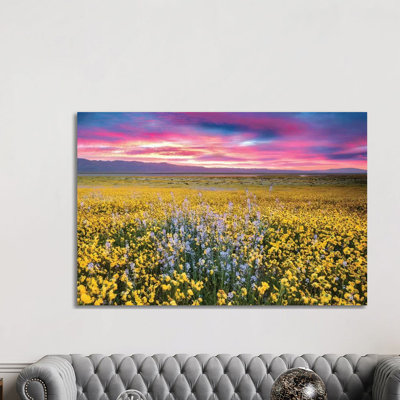 Flower Field Sunrise II by Dennis Frates - Print on Canvas