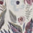 Abigayle Floral Machine Washable Cotton Area Rug in Ivory/Pink-81336512