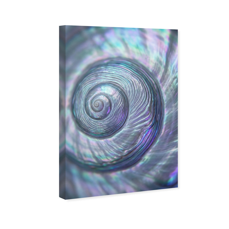 Sea Spiral Print by Oliver Gal, 54"H x 36"W, Gallery Wrapped