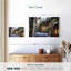 Sirci Florence Street-107699459